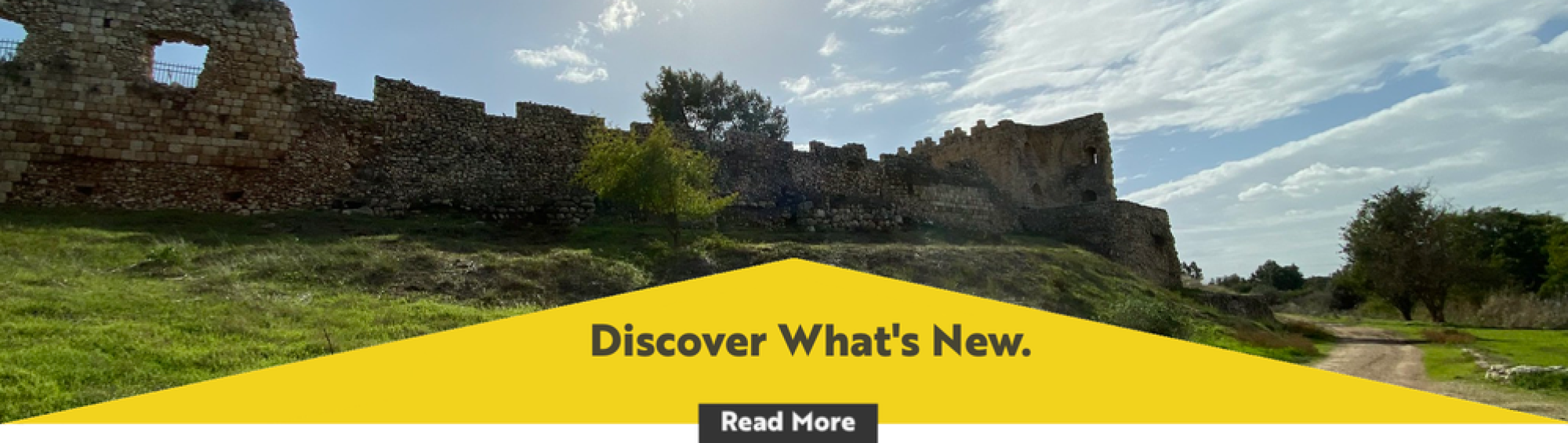 discover_whats_new1
